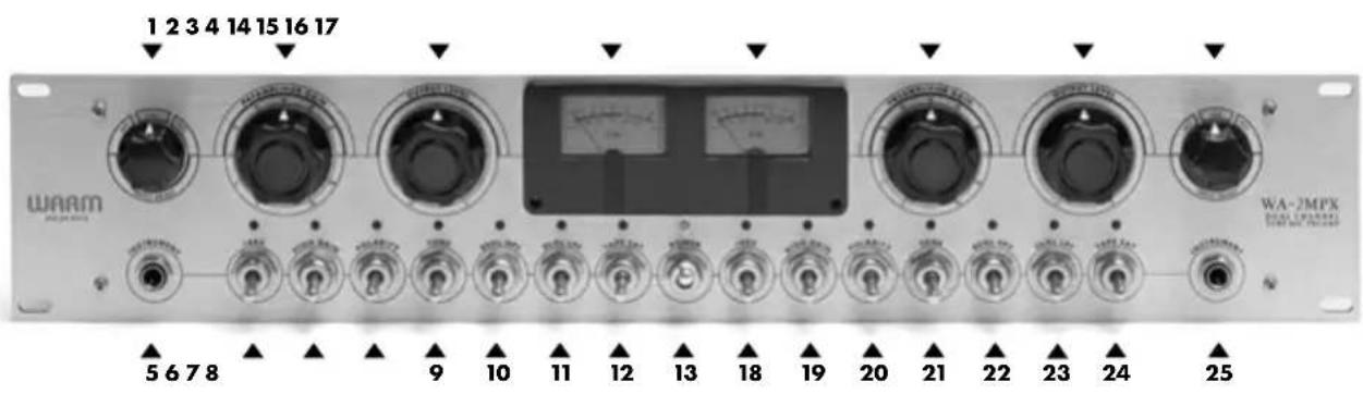 Warm Audio WAMPX - MERCI! - 1