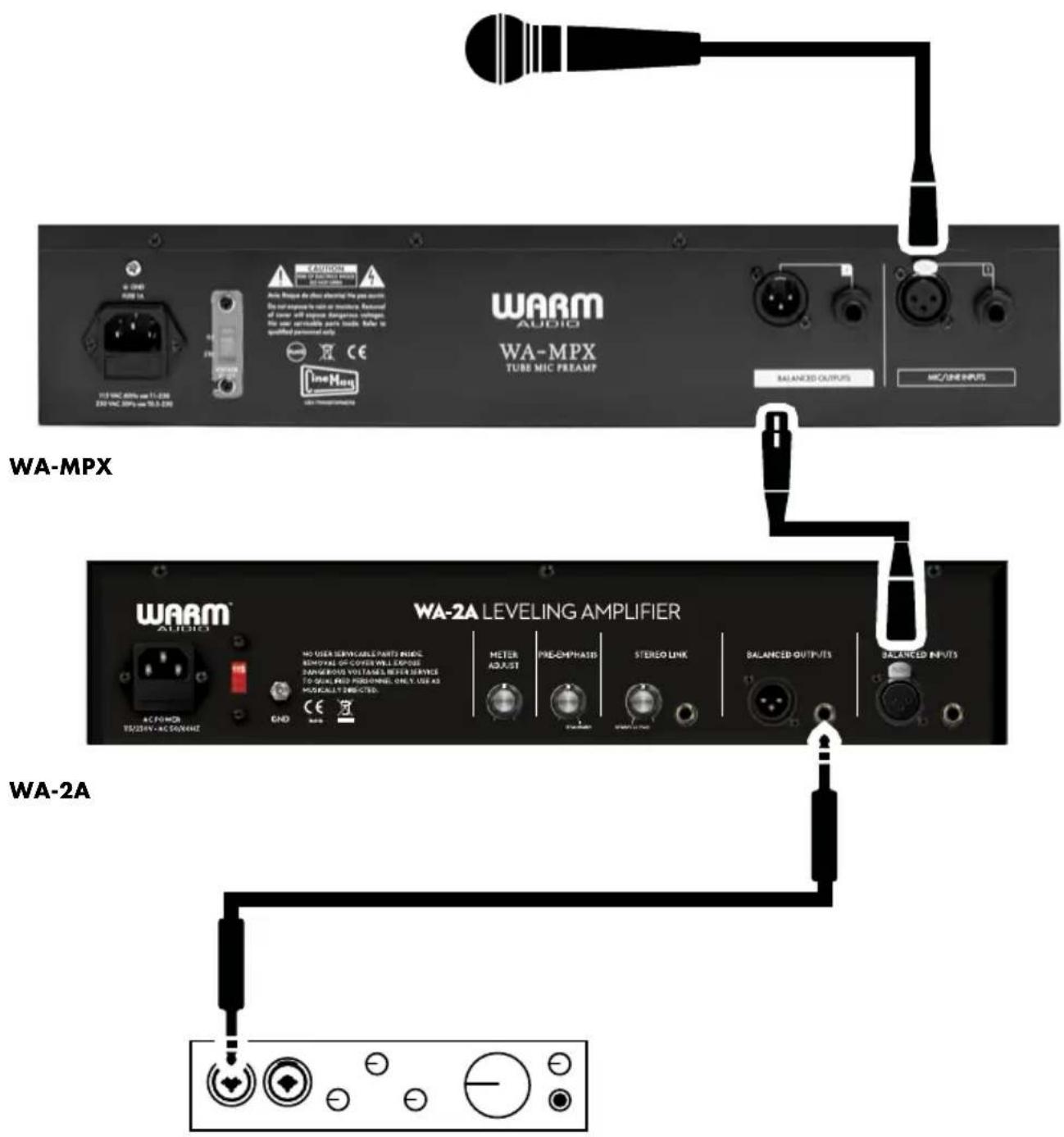 Warm Audio WAMPX - DEUTSCH - 1