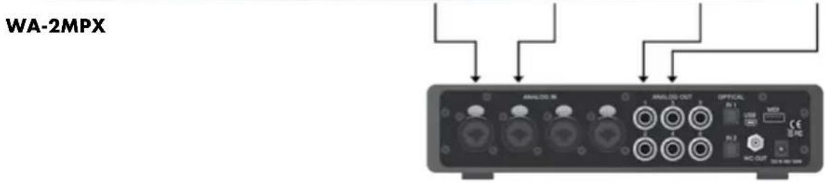 Warm Audio WAMPX - ENTRADA DE CORRIENTE ALTERNA IEC - 1