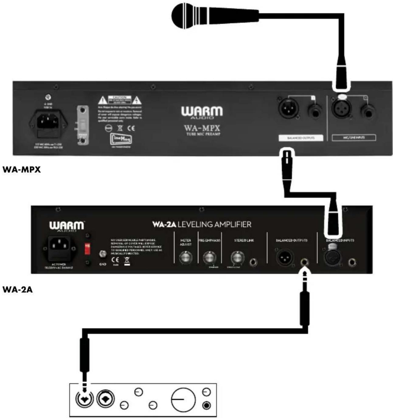 Warm Audio WAMPX - EJEMPLO DE DIAGRAMA DE CONEXIÓN DEL WA-MPX [MONOCANAL] - 1
