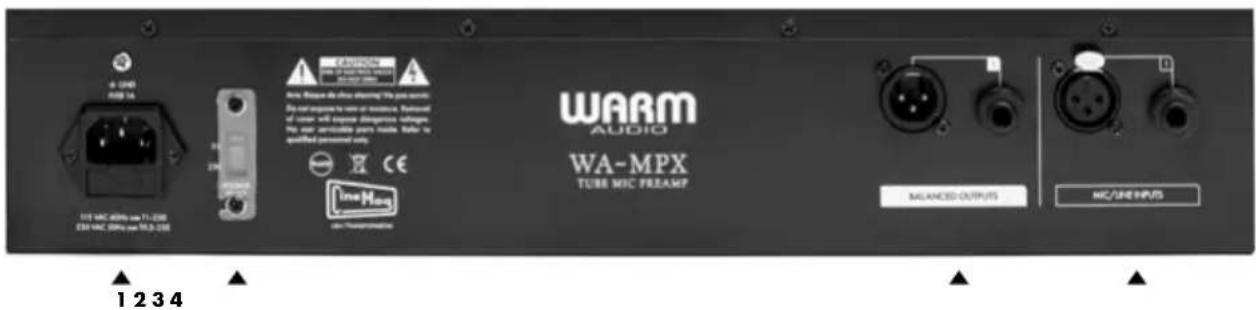 Warm Audio WAMPX - 技术规格——后面板 [单声道] - 1