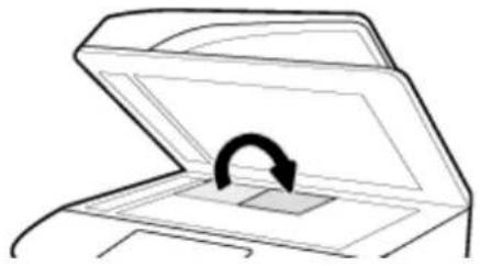 HP PageWide Managed MFP P77740 - ID カードをセットしてコピーする - 2