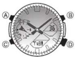 A B C D 36 1438