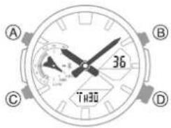 A B 36 T130 C D