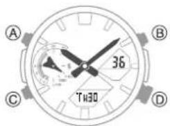 A B 36 C D T130
