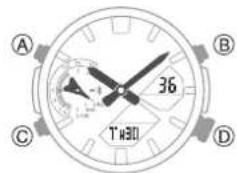 A B 36 C D T'W30