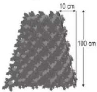 PARKSIDE PPHSA 40Li A1 - Cutting Shaped Hedges: - 1