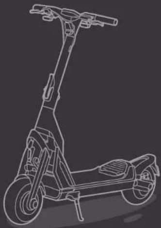 SEGWAY Ninebot KickScooter GT1E - CE - 3