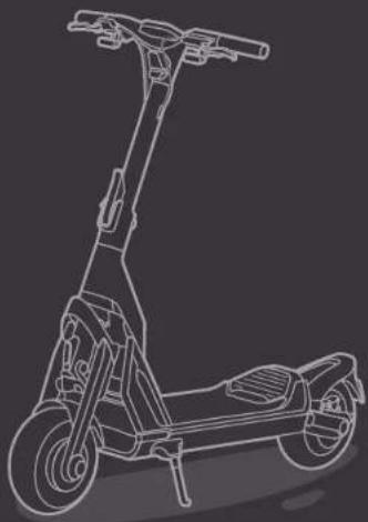 SEGWAY Ninebot KickScooter GT1E - 3