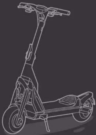 SEGWAY Ninebot KickScooter GT1E - Trademark - 3