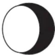 TECHNOLINE WS 250 - Moon phase display - 5