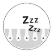 Zzz Zzz