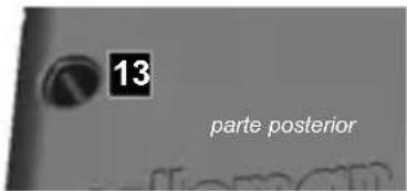 13 parte posterior