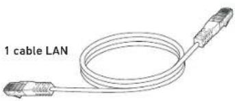 1 cable LAN