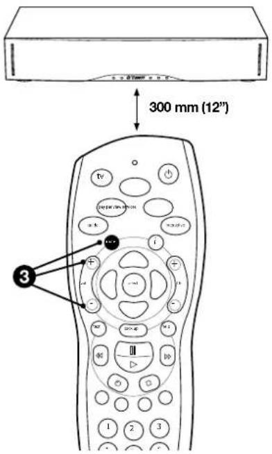 300 mm (12") 3