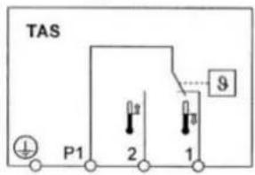 TAS P1 2 1