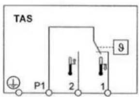 TAS P1 2 1 9