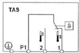 TAS P1 2 1 9