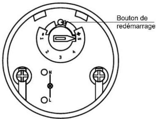 Bouton de redémarrage