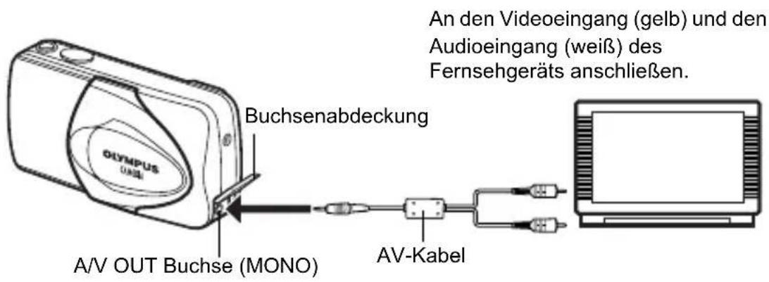 OLYMPUS X-400 - WIEDERGABE AUF EINEM FERNSEHGERÄT - 1