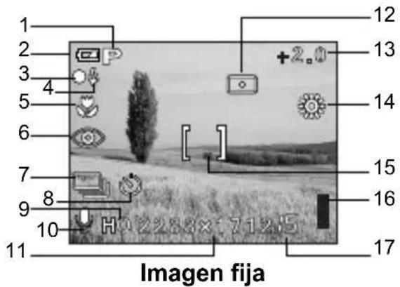 OLYMPUS X-400 - INDICACIONES DEL MONITOR - 1