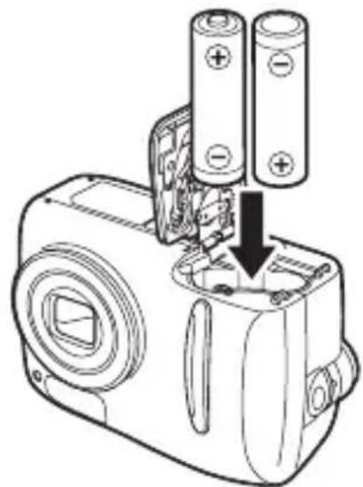 OLYMPUS X-450 - Insert the batteries, making sure that they are correctly oriented as shown in the illustration. - 1
