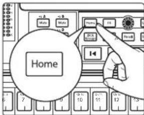 Home