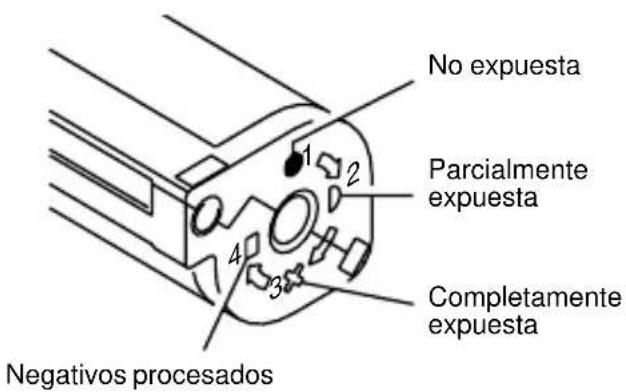 No expuesta Parcialmente expuesta Completamente expuesta Negativos procesados