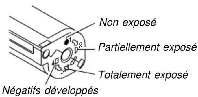 Non exposé Partiellement exposé Totalement exposé Négatifs développés