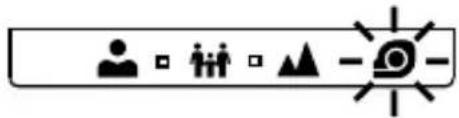 Icon set with human, person, and triangle symbols representing activities or indicators