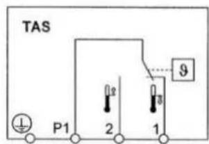 TAS P1 2 1 9