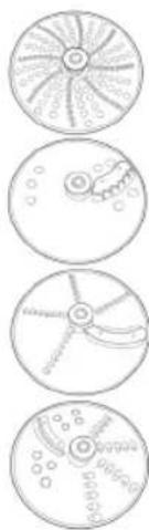 WILFA Essential FP1B-1000 - USING THE BLADE DISCS - 1