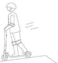 NINEBOT KickScooter E45D - WARNING - 3