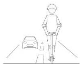 NINEBOT KickScooter E45D - WARNING - 6