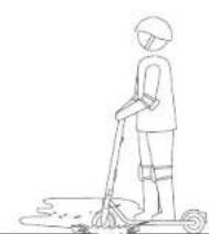 NINEBOT KickScooter E45D - Prima corsa - 6