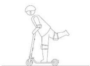 NINEBOT KickScooter E45D - WARNING - 9