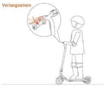 NINEBOT eKickScooter ZING C8 - WARNHINWEIS - 7
