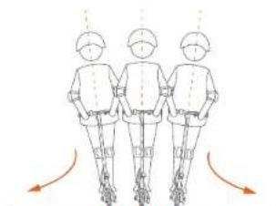 NINEBOT eKickScooter ZING C8 - WARNING - 1