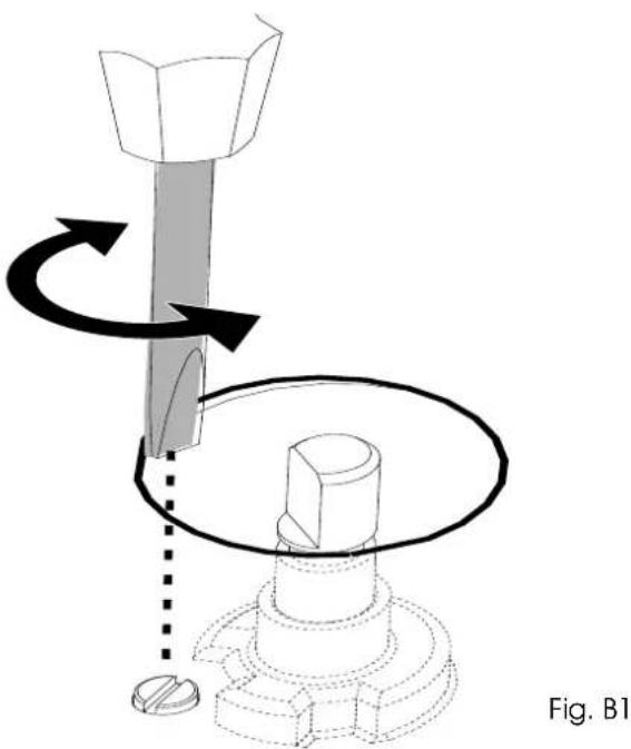 ILVE HCPMT125FDD - Remplacement des injecteurs pour les modèles - 6