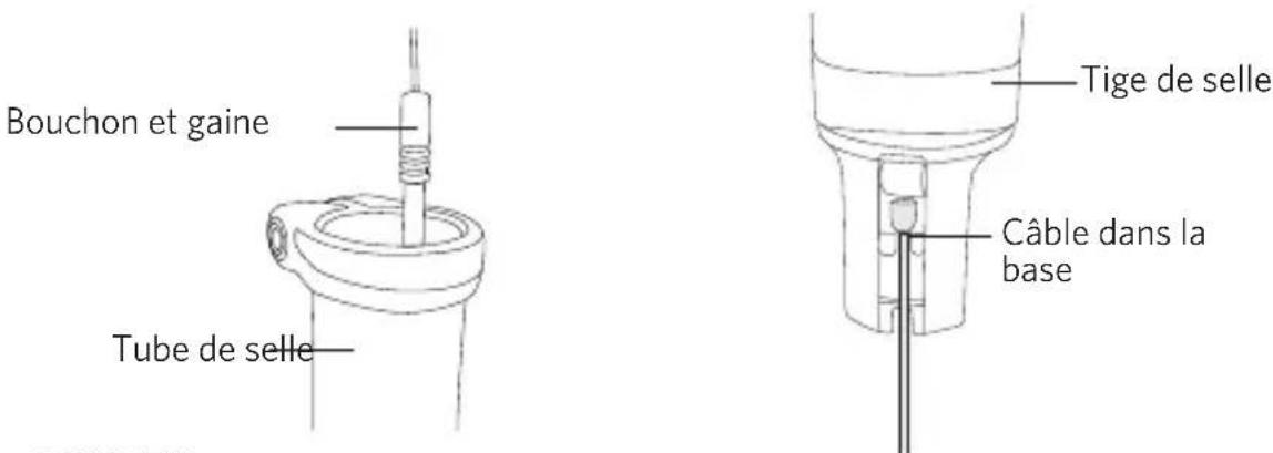 Bouchon et gaine Tube de selle Tige de selle Câble dans la base