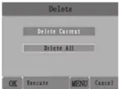Delete Delete Current Delete All OK Execute MENU Cancel