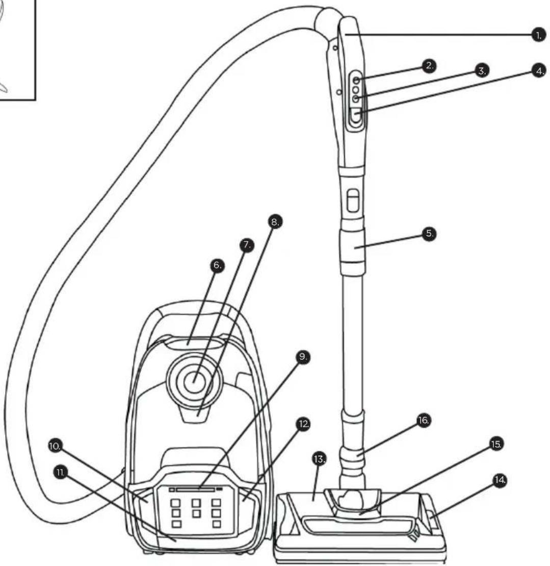 Simplicity Scout Plus - VACUUM CLEANER WITH POWERHEAD - 2