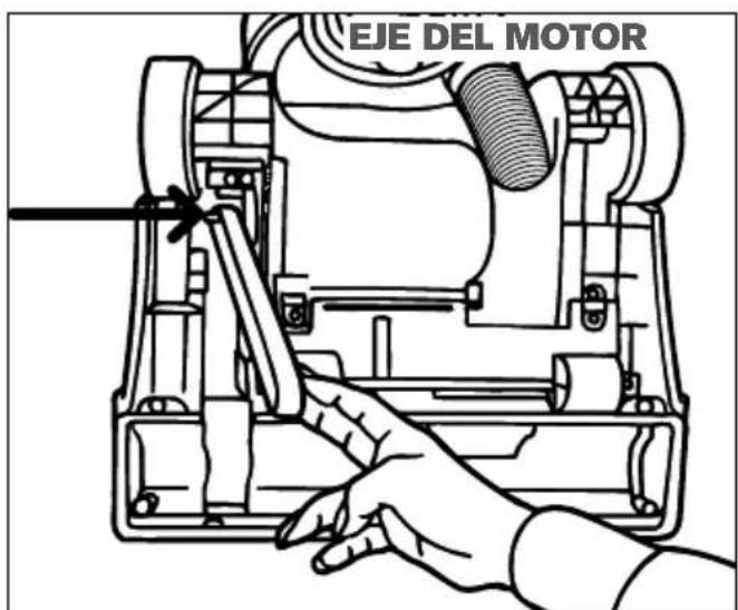 DIRT DEVIL Endura Express Compact - BANDA Y CEPILLO: QUITAR Y REEMPLAZAR - 1