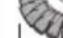 Fein CCG 18-115-10 PD-SEC AS - 45