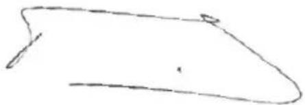 PowerPlus POWXG1009 - CONFORMITEITSVERKLARING - 3