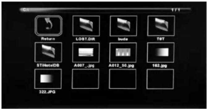 Furrion FDFS55C1A - USB Mode - 4