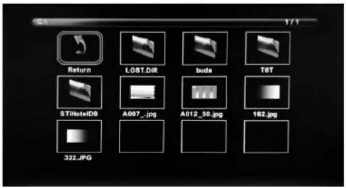 Furrion FDFS55C1A - USB Mode - 2