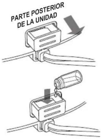 PARTE POSTERIOR DE LA UNIDAD