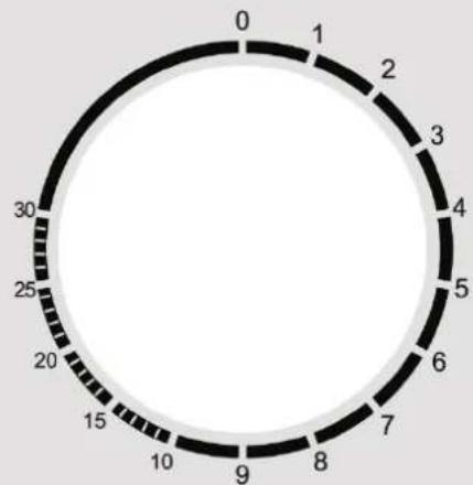 CASO MG 25 Ecostyle Ceramic - Comandi e display - 3
