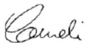 FLYMO Chevron 37VC - EC DECLARATION OF CONFORMITY - 3